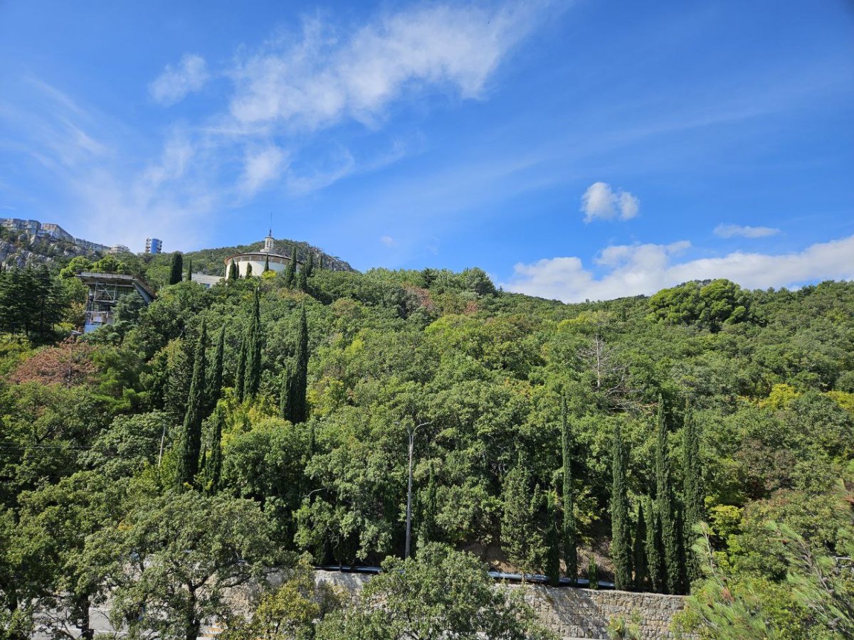 Планировка Студия 15